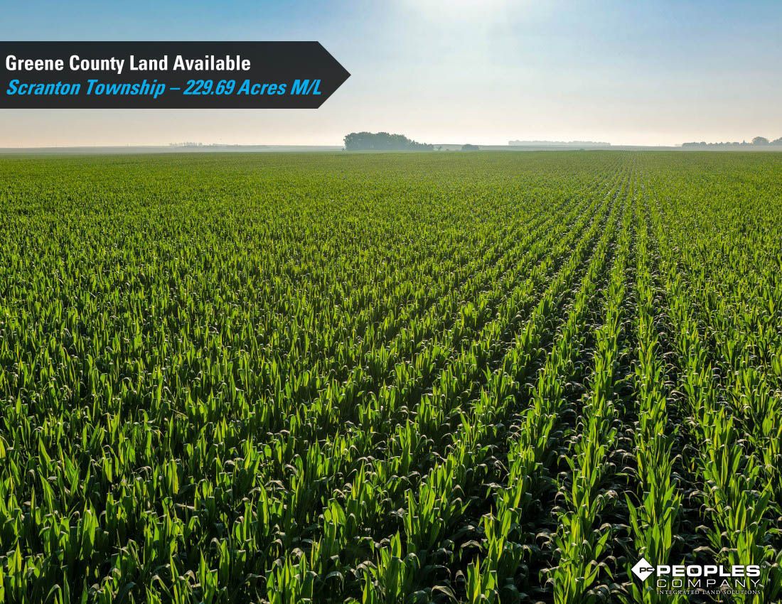 Listing Photo: Greene-County-Iowa-Land-Available-Scranton-Iowa-229-Acres-19614 (12)